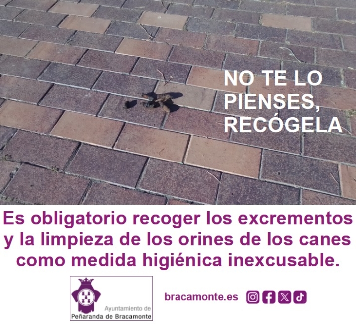 &lsquo;No te lo pienses, rec&oacute;gela&rsquo;, nueva campa&ntilde;a de concienciaci&oacute;n para la limpieza de excrementos y orines de los perros en las calles | Imagen 1
