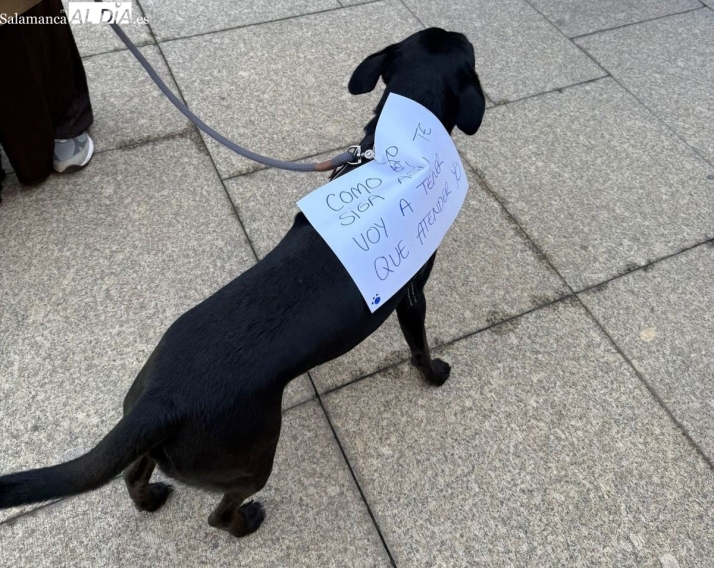 La sanidad de Salamanca, a medio gas por la huelga m&eacute;dica con un seguimiento del 28% | Imagen 1