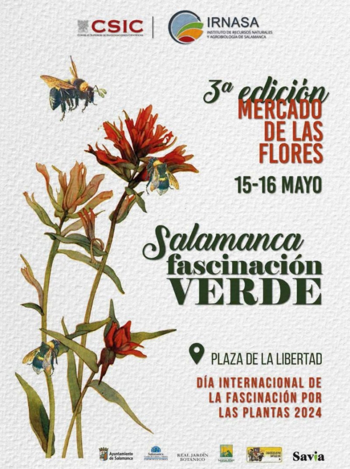 Ya puedes visitar el mercado de las flores en Salamanca | Imagen 1