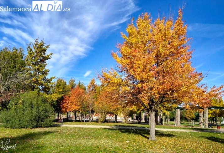 Los pulmones verdes de Salamanca: la riqueza de la naturaleza sin salir de la ciudad | Imagen 2