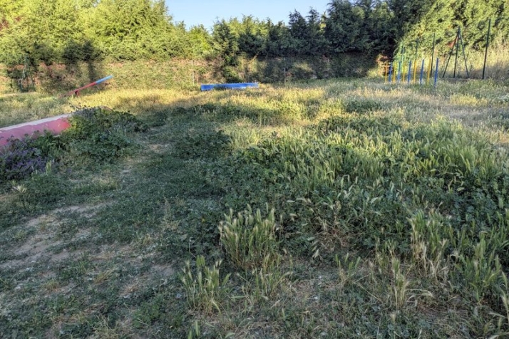 Quejas por el "lamentable estado" y el "abandono absoluto" del parque canino | Imagen 1