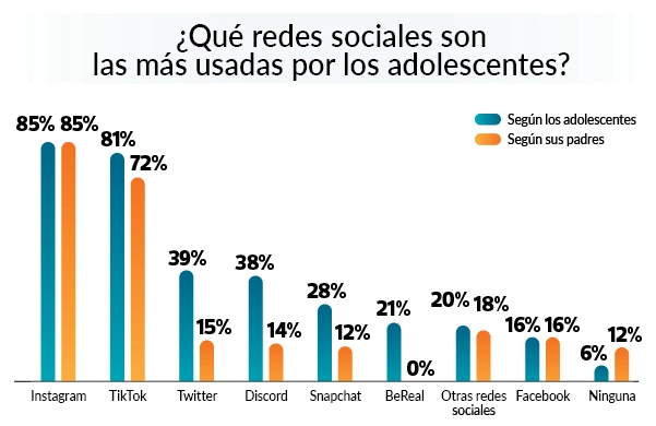 Los adolescentes e internet: &iquest;Hasta que punto la red condiciona su vida y su salud? | Imagen 3