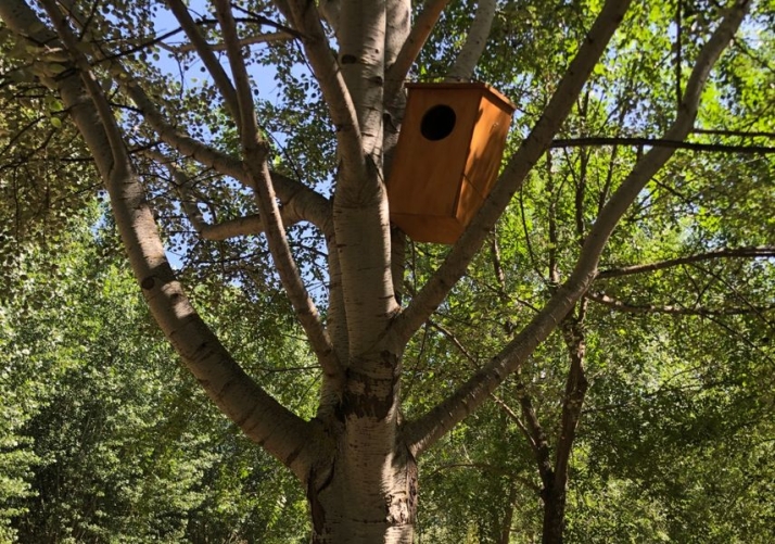 Una ribera del Tormes m&aacute;s natural y accesible a su paso por Alba | Imagen 1