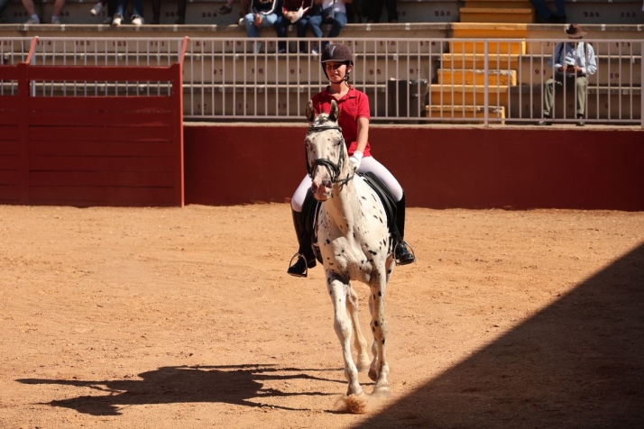 El 'Peque&ntilde;o T&iacute;o' salmantino: un caballo de lunares id&eacute;ntico al de Pipi Calzaslargas causa sensaci&oacute;n en Salamaq | Imagen 2