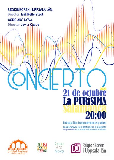 Un Concierto ben&eacute;fico en la Pur&iacute;sima a favor del proyecto Luz para Ben&iacute;n | Imagen 1