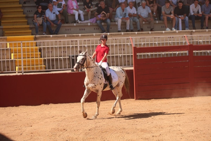 El 'Peque&ntilde;o T&iacute;o' salmantino: un caballo de lunares id&eacute;ntico al de Pipi Calzaslargas causa sensaci&oacute;n en Salamaq | Imagen 1