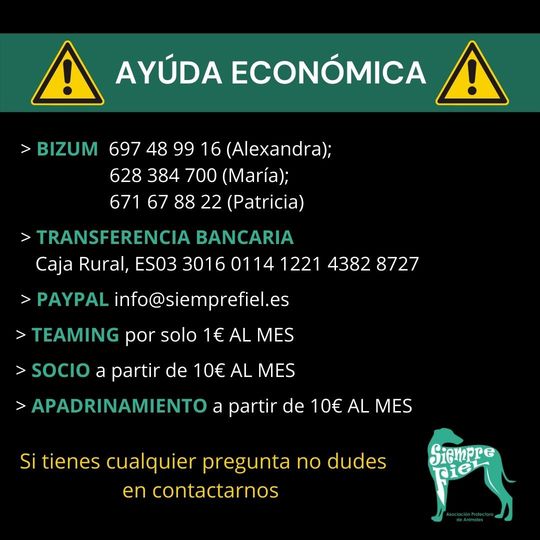 "Estamos intentando sobrevivir&rdquo;, la angustia de la Protectora Siempre Fiel | Imagen 2