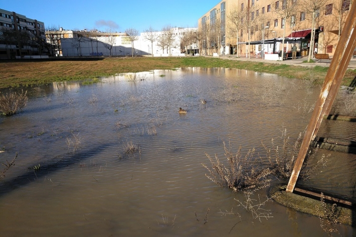 Prioridades municipales | Imagen 3