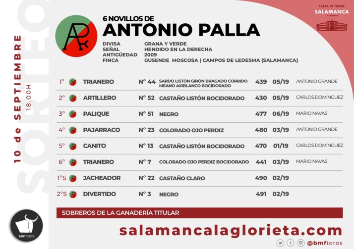 Sorteo y apartado de los novillos para la primera de abono de la Feria de Salamanca | Imagen 1