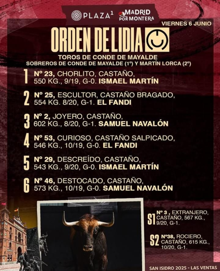 'Chorlito', toro de la confirmaci&oacute;n de alternativa de Ismael Mart&iacute;n en Las Ventas (FOTOS) | Imagen 1