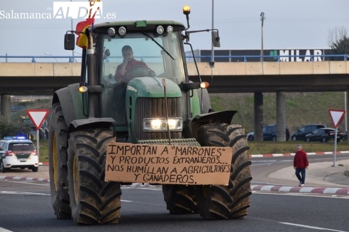 Tienen muchas razones, pero &iquest;la raz&oacute;n? | Imagen 1