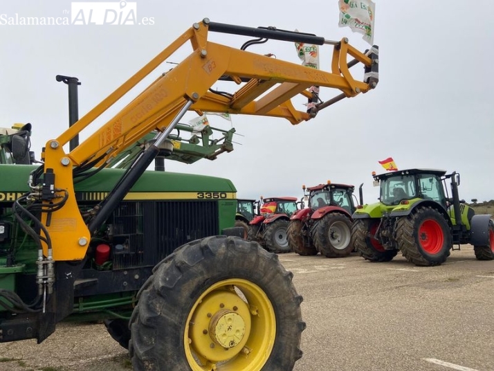 EN IM&Aacute;GENES:  Agricultores y ganaderos dicen 'basta' y la tractorada recorre Salamanca  | Imagen 3