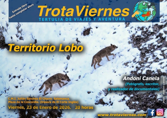 La mirada salvaje del lobo ib&eacute;rico llega a Salamanca de la mano del fot&oacute;grafo Andoni Canela | Imagen 1