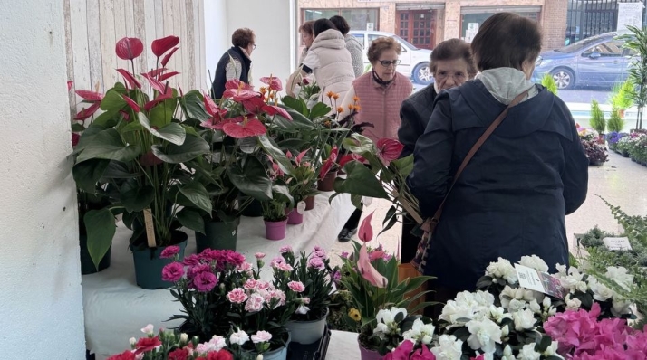 Manos Unidas pone a la venta m&aacute;s de mil plantas solidarias en Alba de Tormes | Imagen 1