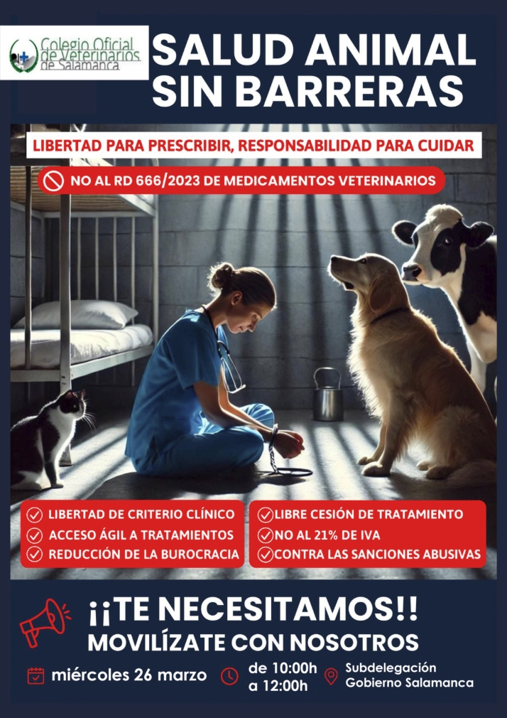 El motivo del gran enfado de los veterinarios de Salamanca que anuncian movilizaciones | Imagen 1