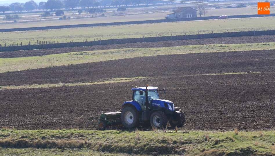 La renta agraria de este año en Salamanca aumenta un 41 por ciento, comparando con 2019