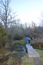 Foto 6 - Camino de las Raíces, la huella de la memoria