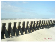 Verdes que os quiero verdes | Imagen 1