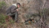 Foto 2 - Control de depredadores: el zorro en madriguera (y II) 