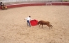 Foto 2 - Los alumnos de la Escuela de Tauromaquia de Salamanca tientan en Rollanejo