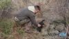 Foto 2 - Control de depredadores: la caza del zorro en madriguera (I)