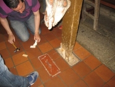 Foto 6 - Todo listo para la procesión del Santo Entierro