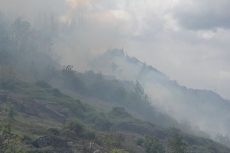 Foto 3 - Un incendio amenaza el poblado de Iberdrola en Villarino