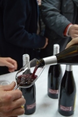 Foto 3 - Ya se conocen los mejores vinos de la Sierra de Francia