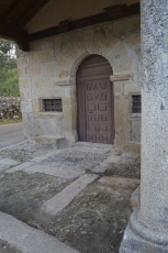 Foto 3 - El bosque como espejo