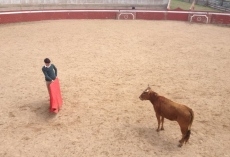 Foto 6 - Los alumnos de la Escuela de Tauromaquia de Salamanca tientan en Rollanejo