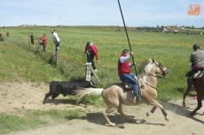Foto 6 - Vibrante primer encierro de la larga temporada taurina de la comarca