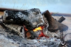 Foto 4 - Los cantalpineses disfrutan en los pinares de un espléndido Lunes de Aguas
