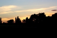 Foto 3 - Los cantalpineses disfrutan en los pinares de un espléndido Lunes de Aguas