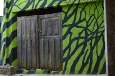 Foto 4 - Caminando entre los sueños prodigiosos de los bosques