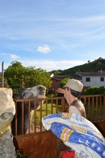 Foto 3 - Caminando entre los sueños prodigiosos de los bosques