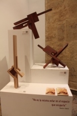 Foto 4 - “Pretendo que el espectador se transforme en usuario y decida sus conceptos”