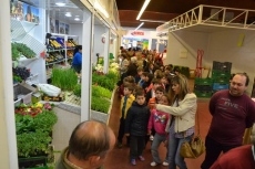 Foto 6 - Alumnos del Colegio San Francisco visitan los mercados de la ciudad