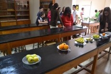 Foto 5 - San Francisco y Misioneras-Teresianas ponen en marcha sus Semanas Culturales