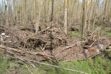 Foto 4 - Alarma por la aparición de un objeto que se pensó que era una bomba