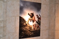 Foto 3 - El Palacio de Los Águila acoge una muestra sobre el Vía Crucis de Serradilla del Arroyo