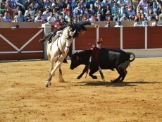 Foto 4 - Tintes descafeinados en Pe&ntilde;aranda