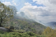 Un incendio amenaza el poblado de Iberdrola en Villarino