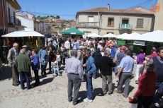 Foto 4 - Arranca la Feria Internacional del Queso con más de 55 expositores