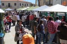 Foto 3 - Arranca la Feria Internacional del Queso con más de 55 expositores