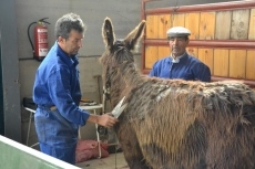 Foto 6 - La Feria de Mayo continúa profundizando en las raíces de la tierra