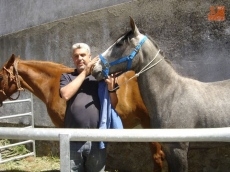 Feria de ganado 2014 / FOTO: Ana Vicente