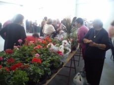 Foto 3 - Mercadillo Solidario en favor de Acción Verapaz, Cáritas y Manos Unidas