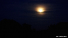 Foto 3 - Ciudad de la melancolía