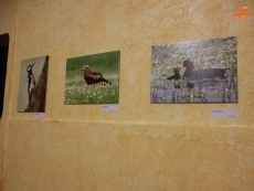 FOTO: Raúl Hernández