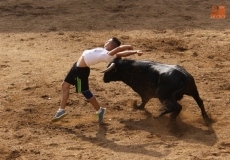 Foto 6 - El primero de los encierros de El Noveno, limpio y sin incidentes